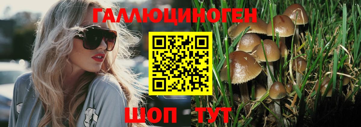 Рославль  Галлюциногенные грибы ЛСД  Вход с VPN 